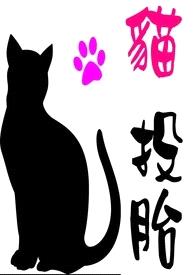 猫投胎封面